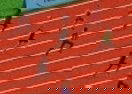 100 Meter Race