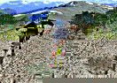 3D Mountain Bike