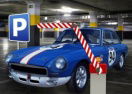 Advance Car Parking