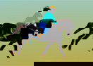 American Rodeo