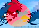 Angry Bird VS Zombies - Doctor Version