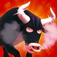 Angry Bull Racing