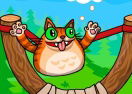 Angry Cat