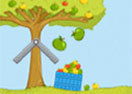 Apple Harvest 2