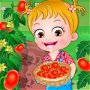 Baby Hazel Tomato Farming