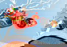 Bakugan Gifts Delivery