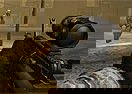Battlefield 2