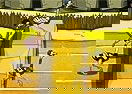 Big Bird Racing