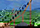 Bike Mania Arena 2