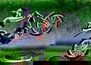 Bike Mania