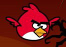 Bird Ninja