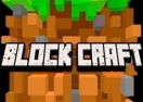 Block Craft 3D