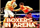 Boxers in Arena