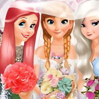 Bride and Bridesmaids Dress Up