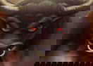 Bull Rage