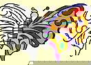 Butterfly Coloring