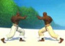Capoeira Fighter 1