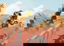 Cartoon Xtreme Trials