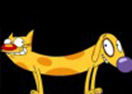 Cat Dog