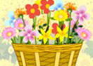 Cesta de Flores