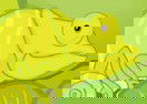 Chameleon Survival