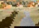 Classic Chicken Shooting