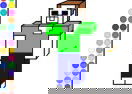 Color Steve