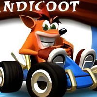 Crash Bandicoot Race