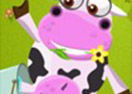 Crazy Cow