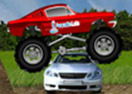 Crazy Mustang