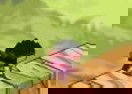 Cube Ninja
