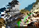 Desert Dirt Motocross