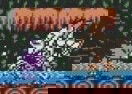 Digimon Fight