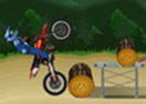 Dirtbike Fun
