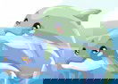 Dolphin Care