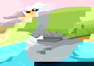 Duck Care