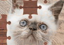 Exotic Cats Jigsaw Puzzle