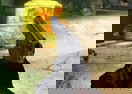 Extreme Shooting Adventure