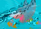 Fat Shark