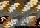 Find the Suspect