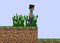 Juegos de Minecraft 2D
