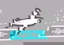 Flight Sim