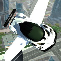 Flying Car Real Driving