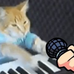 FNF VS Keyboard Cat