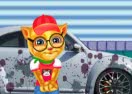 Ginger Car Cleaning