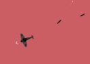 Go Plane Online