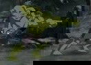 Hulk Vs