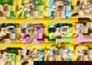 Juego de Memoria del Chavo del 8