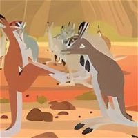 Kratts Brothers and the Kangaroos