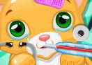 Little Cat Doctor